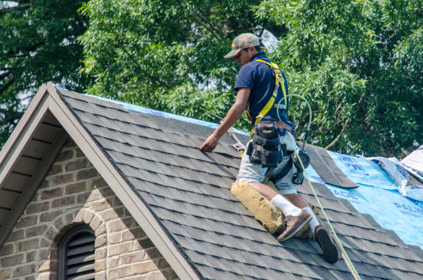 Best Roof Gutter Cleaning  in Macom, IL